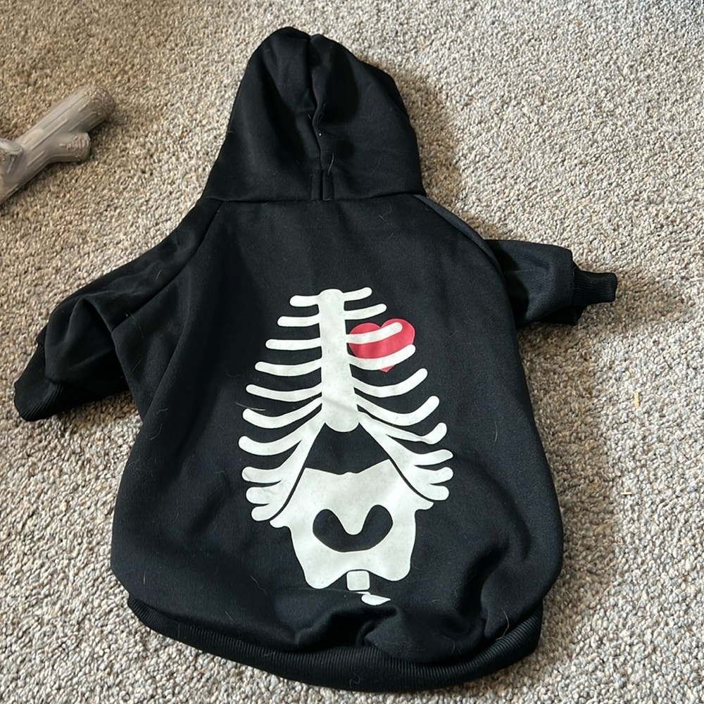Dog hoodie